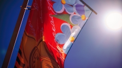 9 мая 2024 года